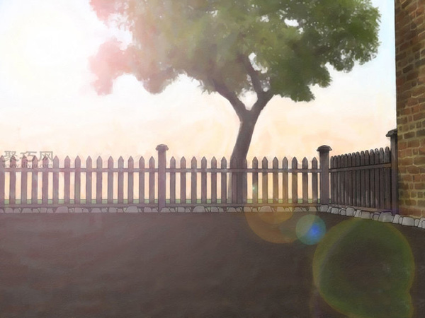 怎样种植萝卜 种植萝卜教程图解(图2)