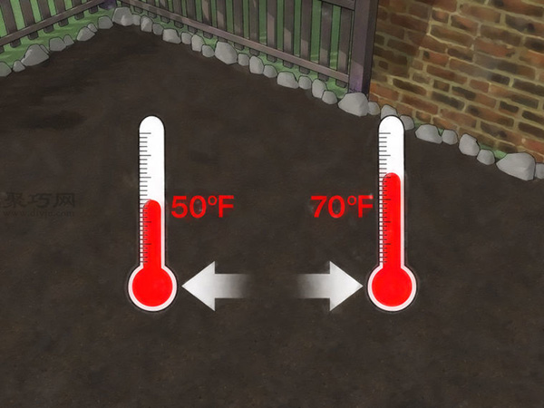怎样种植萝卜 种植萝卜教程图解 - 功圣花卉