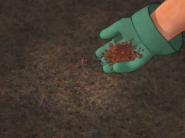 怎样种植萝卜 种植萝卜教程图解(图4)