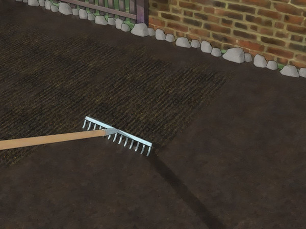 怎样种植萝卜 种植萝卜教程图解(图3)