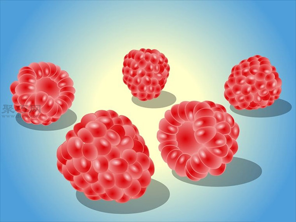 种植树莓步骤 怎样种植树莓 - 功圣花卉