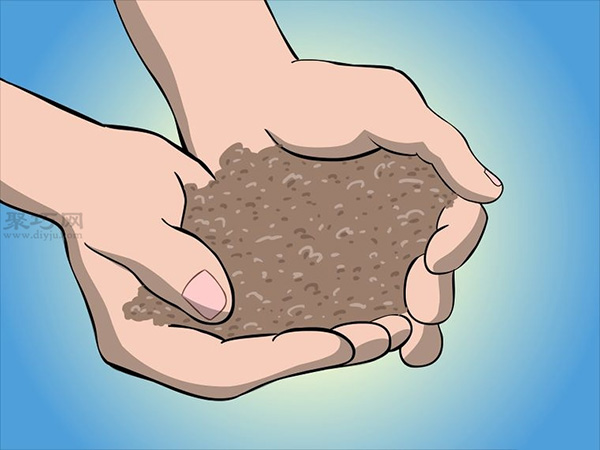 种植树莓步骤 怎样种植树莓(图8)