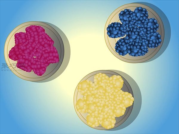 种植树莓步骤 怎样种植树莓(图3)