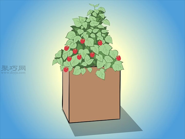 种植树莓步骤 怎样种植树莓(图6)