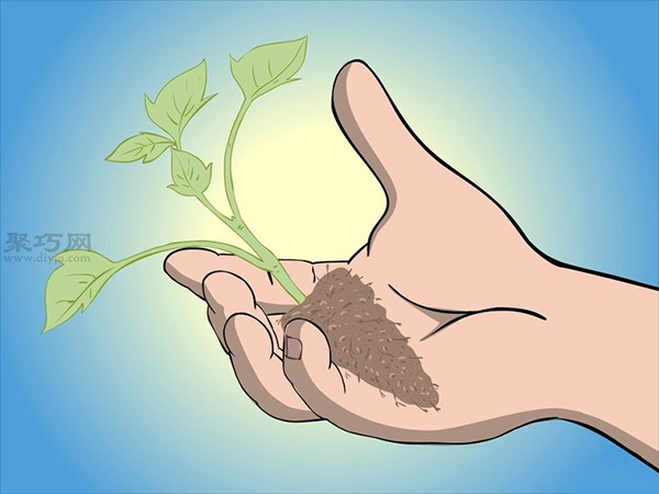 种植树莓步骤 怎样种植树莓(图10)