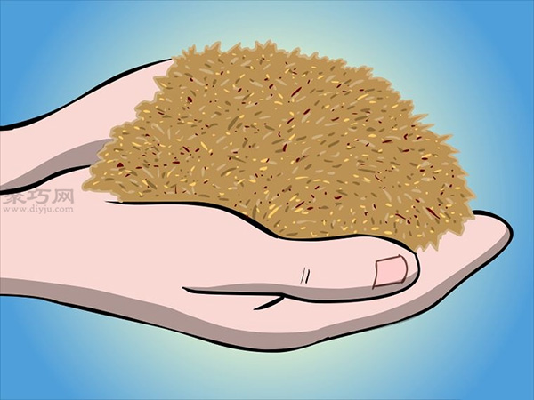 种植树莓步骤 怎样种植树莓(图16)