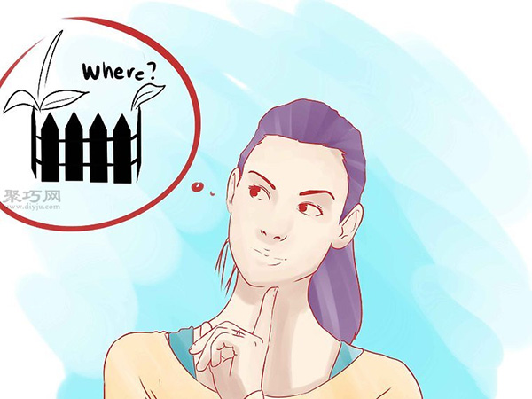 怎样种植香草 种植香草教程图解(图3)