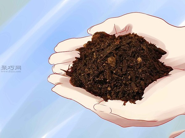 怎样种植香草 种植香草教程图解(图6)