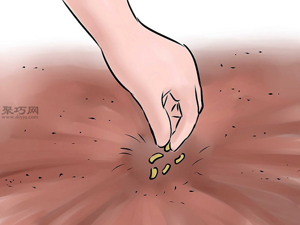 怎么在花园里种植 教你种出一个花园教程(图4)