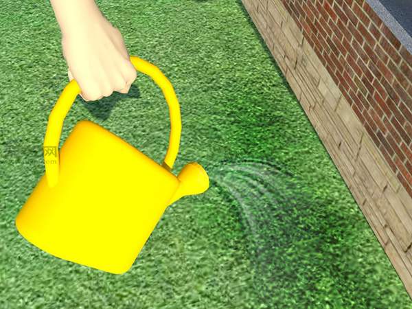 草坪如何灌溉才能既节水又有效(图6)