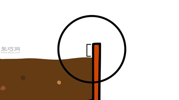 自家怎样种植柑橘 柑橘栽培种植技术(图13)