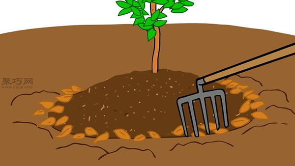 自家怎样种植柑橘 柑橘栽培种植技术(图14)