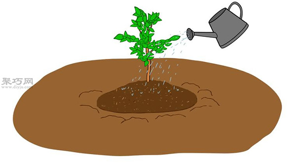 自家怎样种植柑橘 柑橘栽培种植技术(图15)