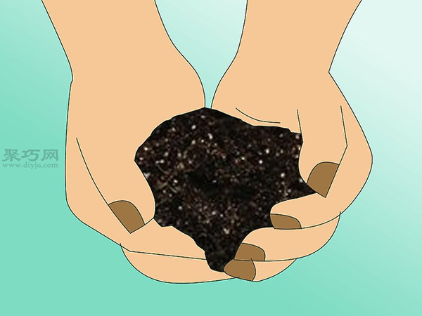 栽种大豆技术 庭院如何种植大豆(图6)