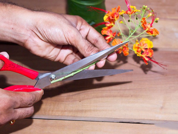 如何在小花瓶里插花 小瓶插花技巧(图5)