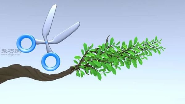 如何制作小型盆景 自制微型盆栽方法(图5)