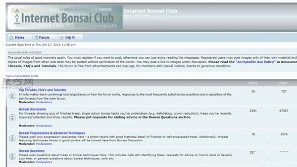 如何制作小型盆景 自制微型盆栽方法(图8)
