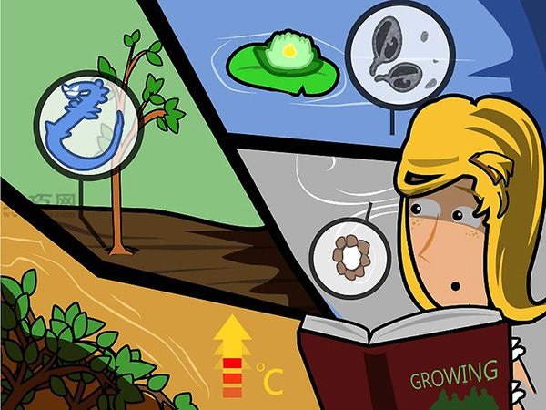 苗圃业创业都要做哪些准备工作(图18)