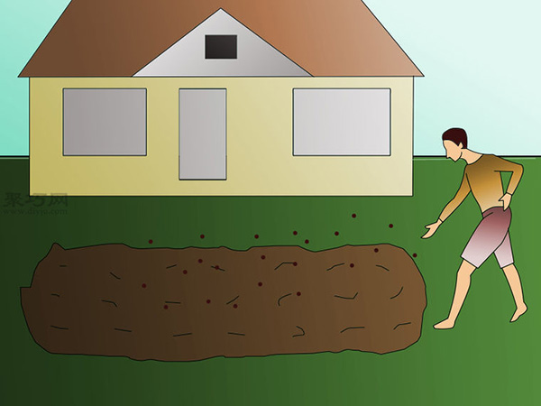 栽种大豆技术 庭院如何种植大豆(图2)