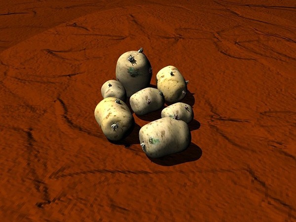 种土豆图解教程 怎么种土豆(图4)