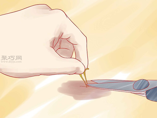 如何播种香草 教你种植香草的方法(图5)