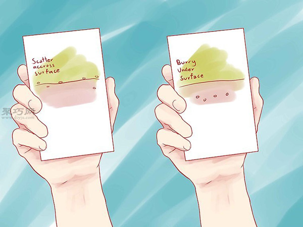 如何播种香草 教你种植香草的方法(图4)