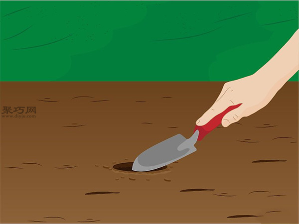 种植人参技术 人工怎么种植人参(图4)