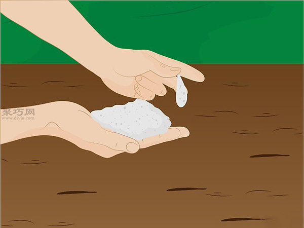 种植人参技术 人工怎么种植人参(图5)