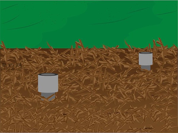 种植人参技术 人工怎么种植人参(图8)