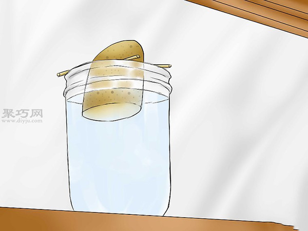 怎么培育红薯幼苗 来看种植红薯的方法(图5)