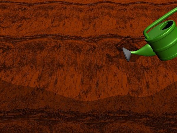 种土豆图解教程 怎么种土豆(图7)