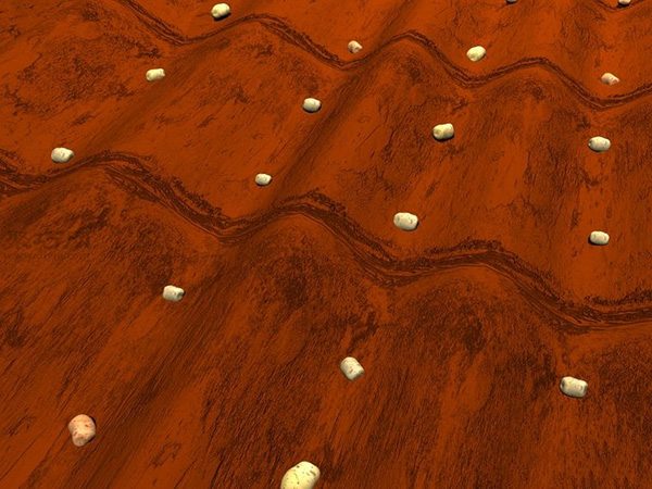 种土豆图解教程 怎么种土豆(图6)