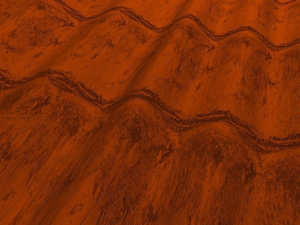 种土豆图解教程 怎么种土豆(图5)