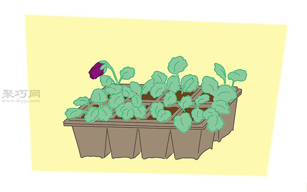 蝴蝶花的养殖方法 教你蝴蝶花怎么种植 - 功圣花卉