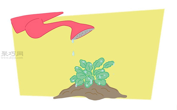 蝴蝶花的养殖方法 教你蝴蝶花怎么种植(图4)