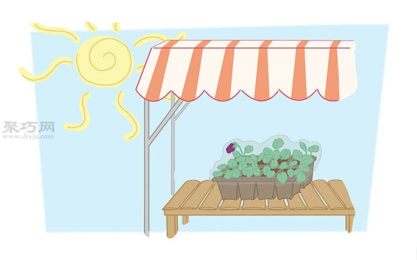 蝴蝶花的养殖方法 教你蝴蝶花怎么种植(图3)