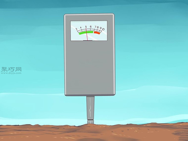 栽种鳄梨步骤 怎样栽种鳄梨(图4)