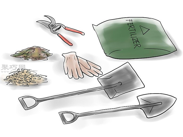 种植玫瑰花教程图解 怎么样种植玫瑰花(图3)