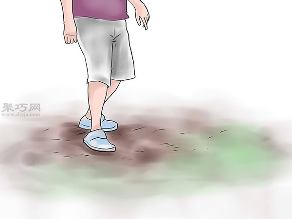 种植玫瑰花教程图解 怎么样种植玫瑰花(图4)