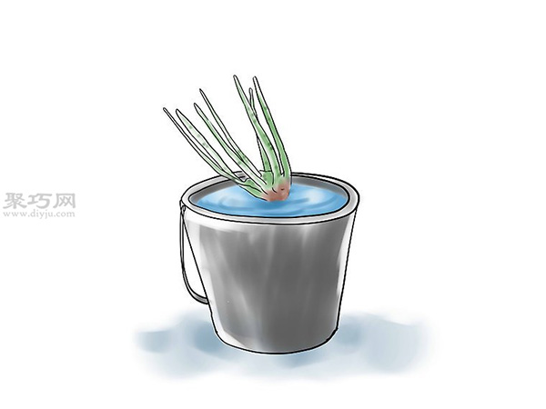 种植玫瑰花教程图解 怎么样种植玫瑰花(图5)