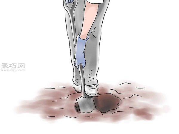 种植玫瑰花教程图解 怎么样种植玫瑰花(图6)