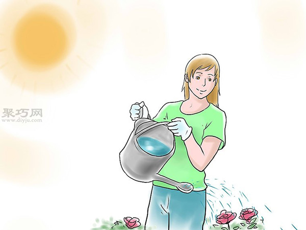 种植玫瑰花教程图解 怎么样种植玫瑰花(图10)