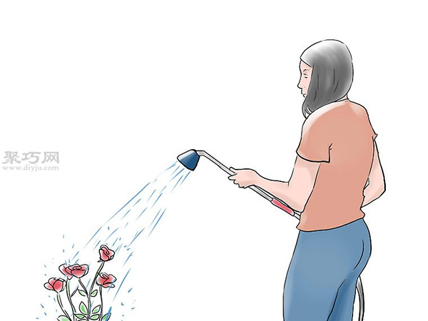 种植玫瑰花教程图解 怎么样种植玫瑰花(图14)