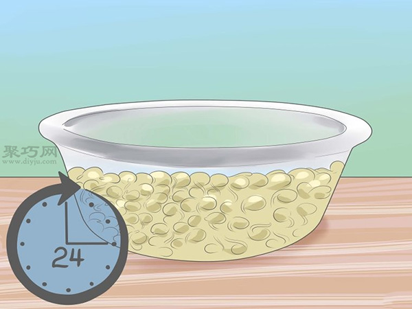 怎样让种子发芽 种植幼芽教程图解(图3)