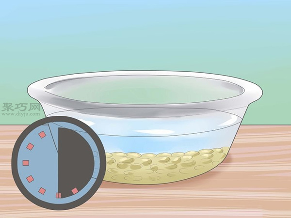 怎样让种子发芽 种植幼芽教程图解(图2)