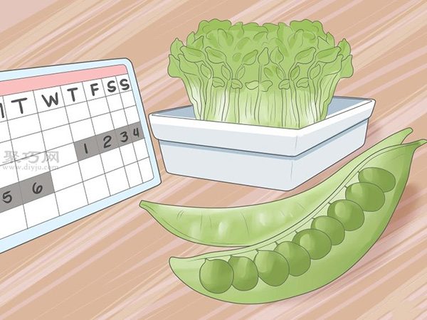 怎样让种子发芽 种植幼芽教程图解(图4)