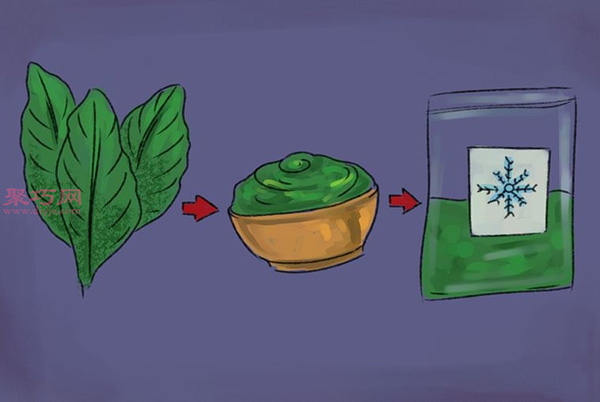 怎样收获和使用罗勒 种植罗勒图片教程(图4)