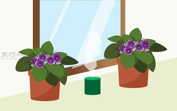 非洲堇的养殖方法 盆栽非洲堇怎么养(图5)