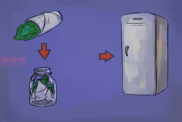 怎样收获和使用罗勒 种植罗勒图片教程(图3)