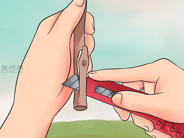 怎么样T型芽嫁接树 嫁接树图片教程(图2)